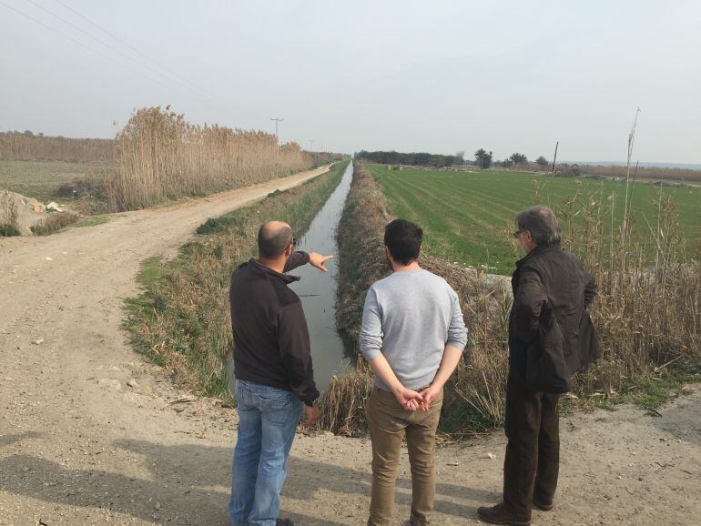 Visita a los Carrizales