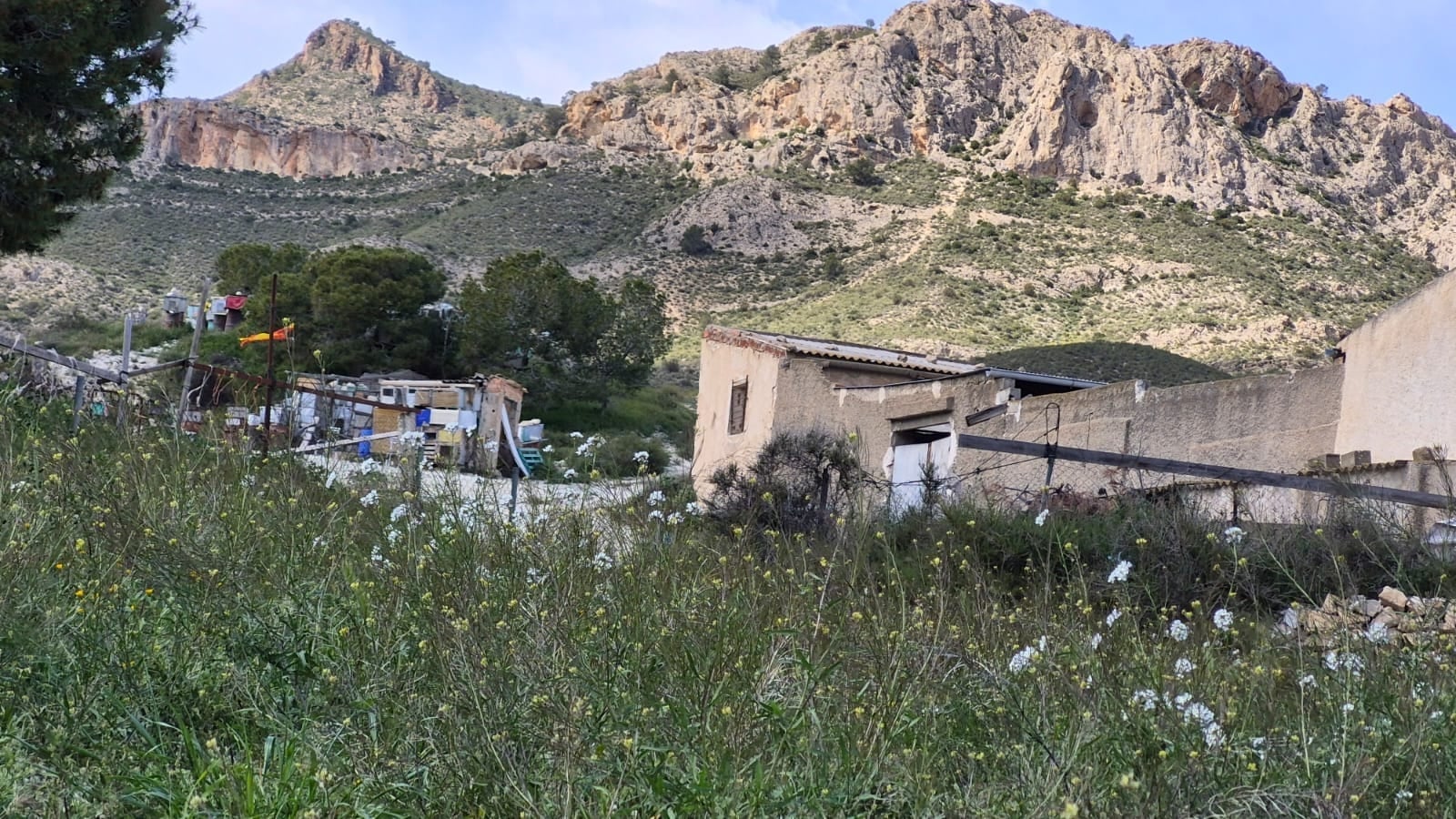 Zona en la que la mujer fue afectada