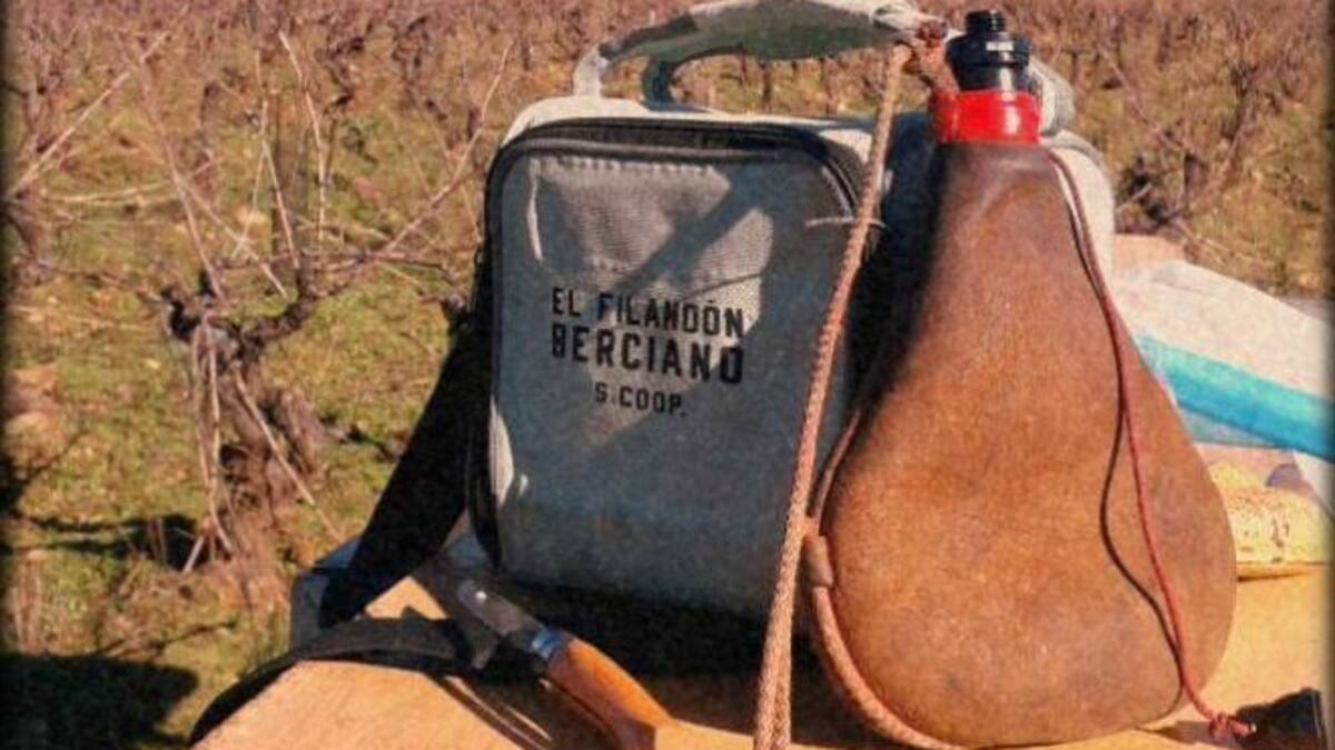 La poda de la viña, el inicio de todo