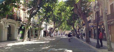 Calle Marqués de Campo, lunes 11 de mayo.