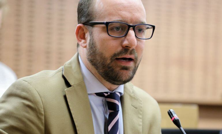 Beardo, durante una intervención en el pleno