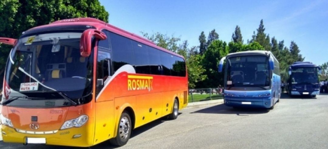 Autobuses asociados a Atedibus.