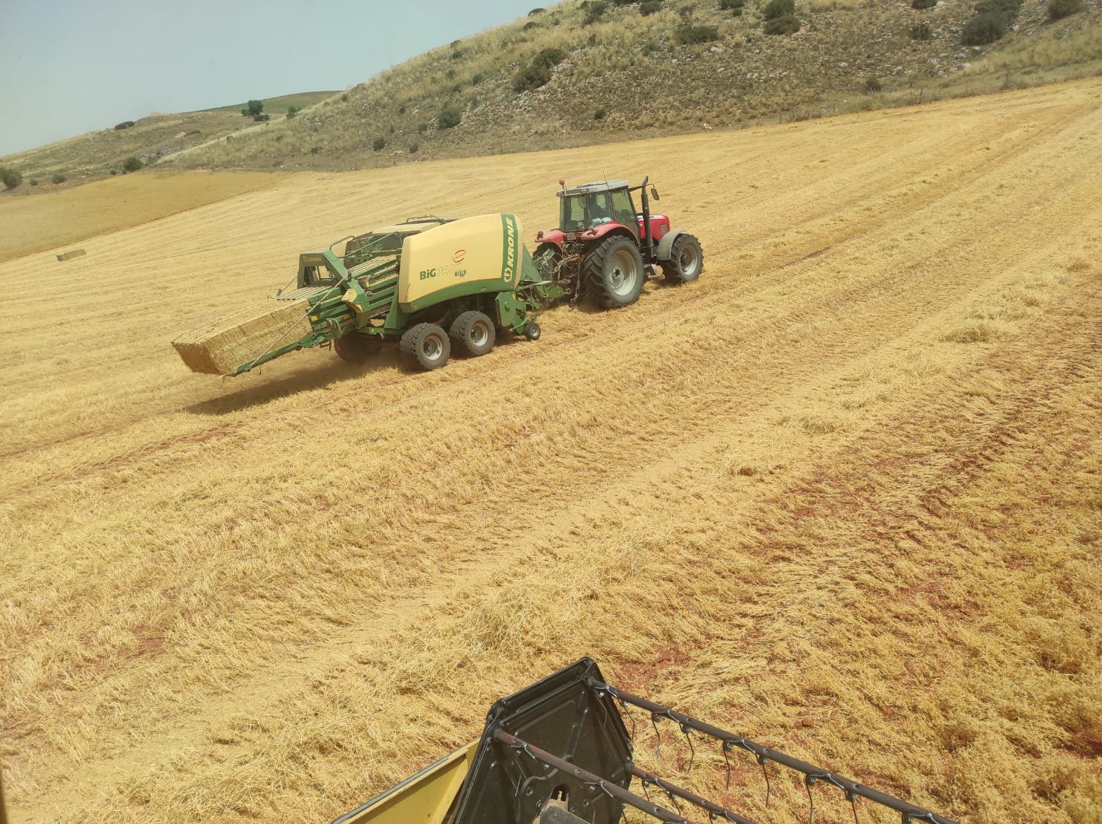 Explotación agrícola en Cuenca