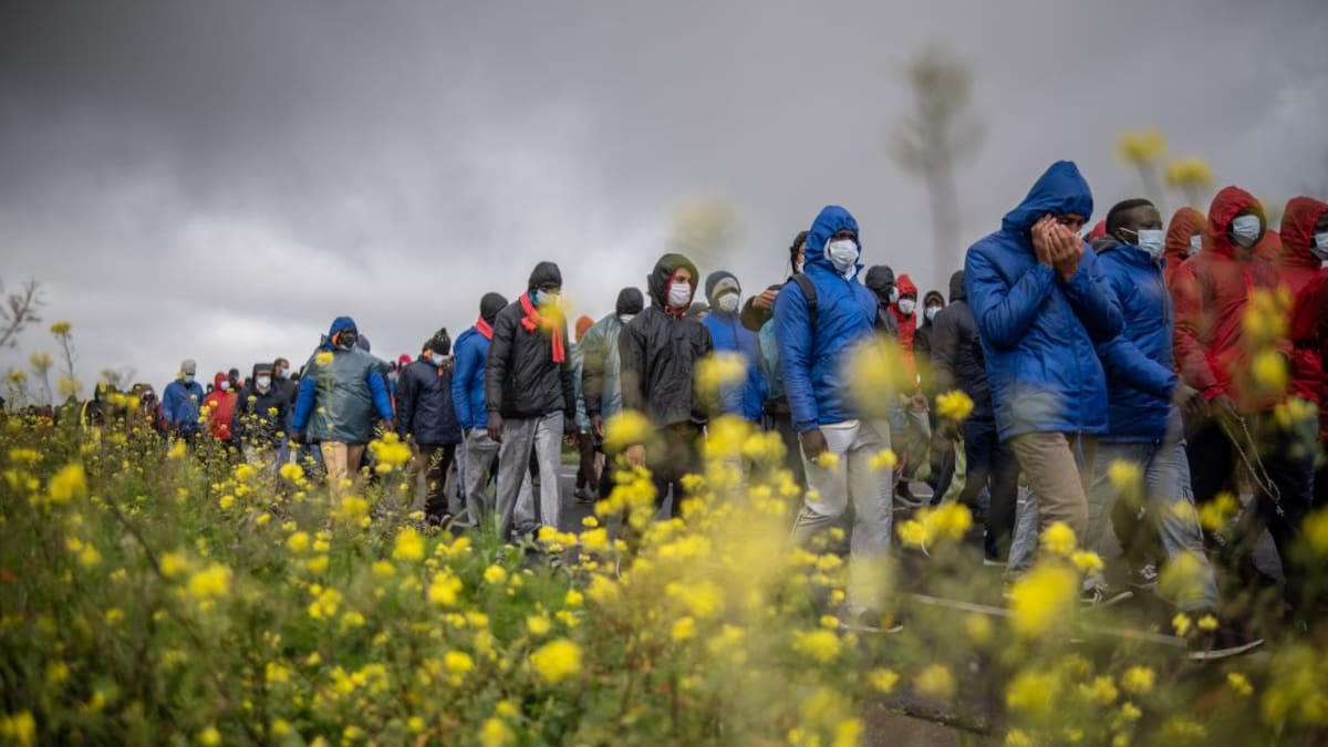 Entrevista a Rosario González, concejal de servicios sociales de Santa Cruz de Tenerife
