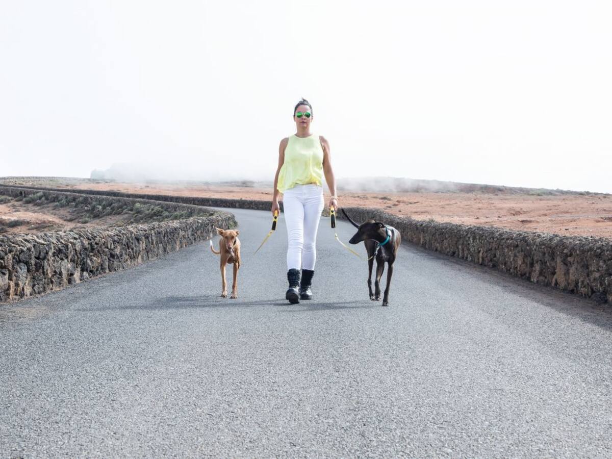 La Sargento que denunció acoso: "el estrés y el miedo eran insoportables"