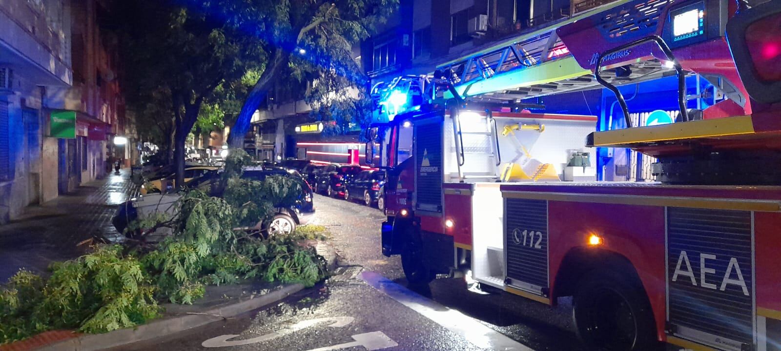 Rama caída en la calle Morería de Ciudad Real por el paso de la borrasca Aline