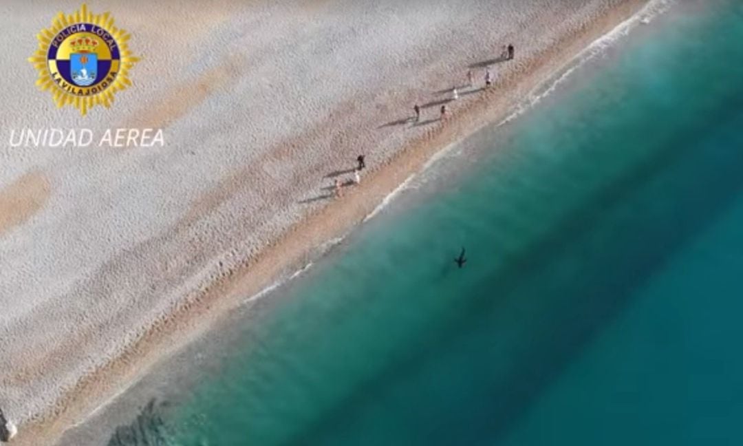 Imagen aerea de la tintorera avistada en La Vila