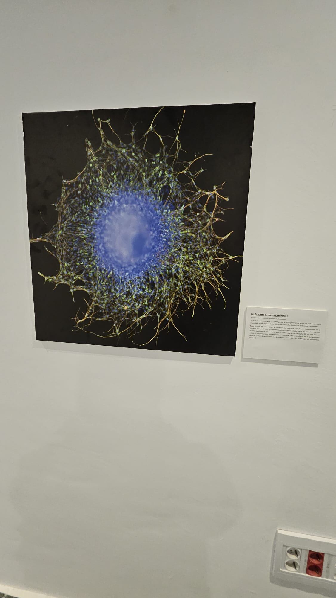 Otra de las obras de la exposición