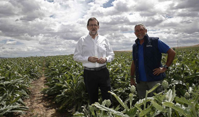 El presidente del Partido Popular y del Gobierno en funciones, Mariano Rajoy, durante la visita que ha realizado a una finca de cultivo de alcachofas 