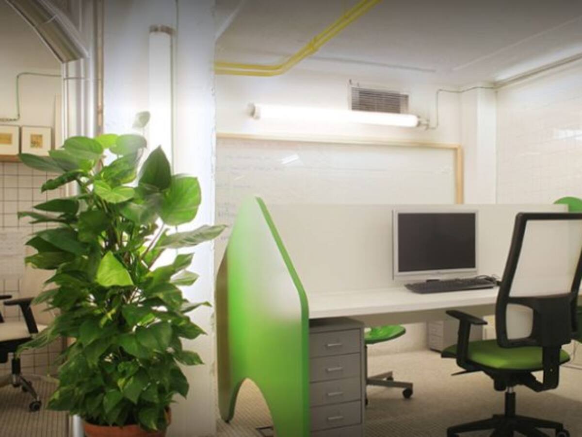 Francisco Cámara: 'Todos somos muchos más creativos de lo que creemos'