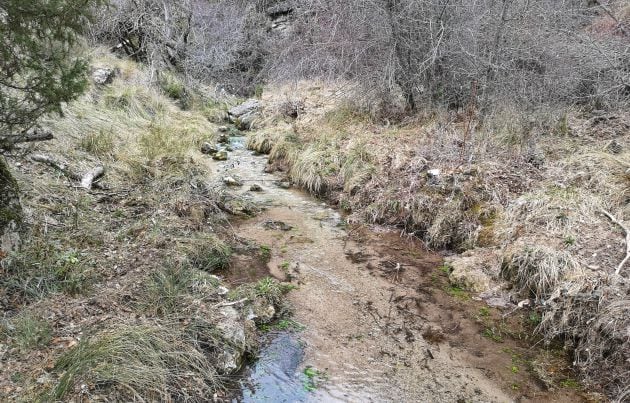 El arroyo del Rincón es uno de los más limpios de España.