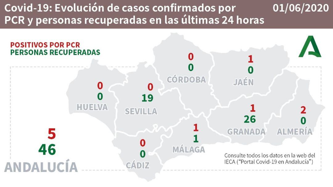 Evolución de casos y recuperados por provincias.