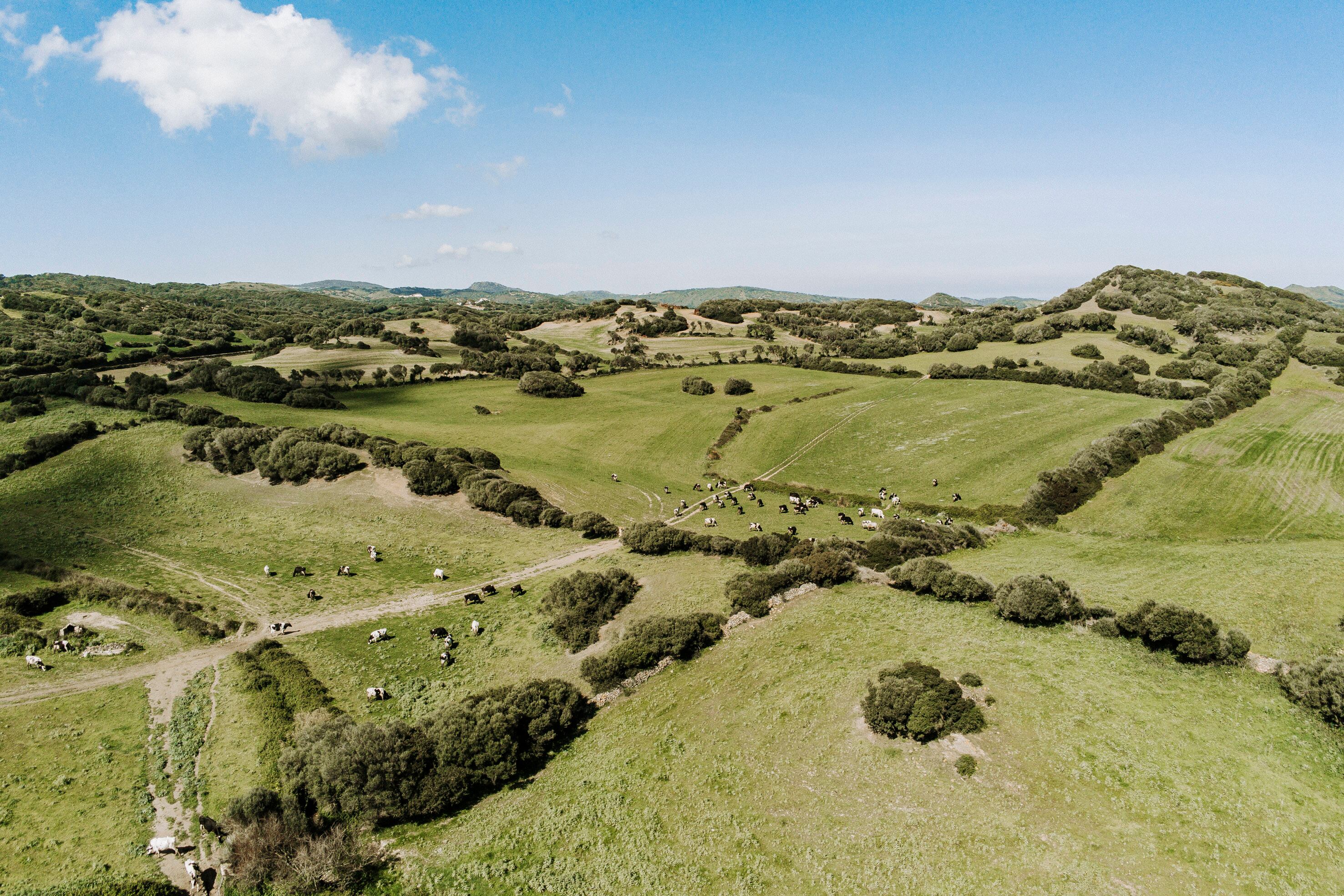 Camp de Menorca