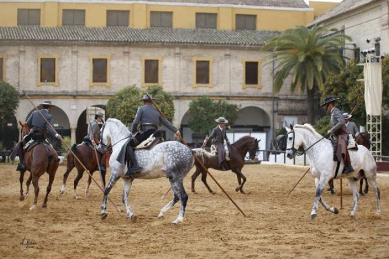 Caballerizas reales