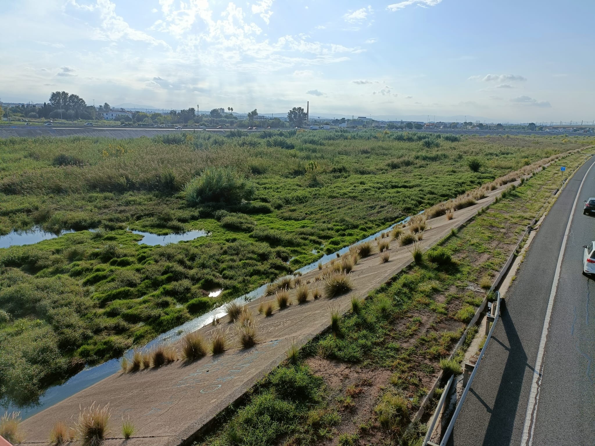 Vegetación acumulada en el tramo final del nuevo cauce del Turia