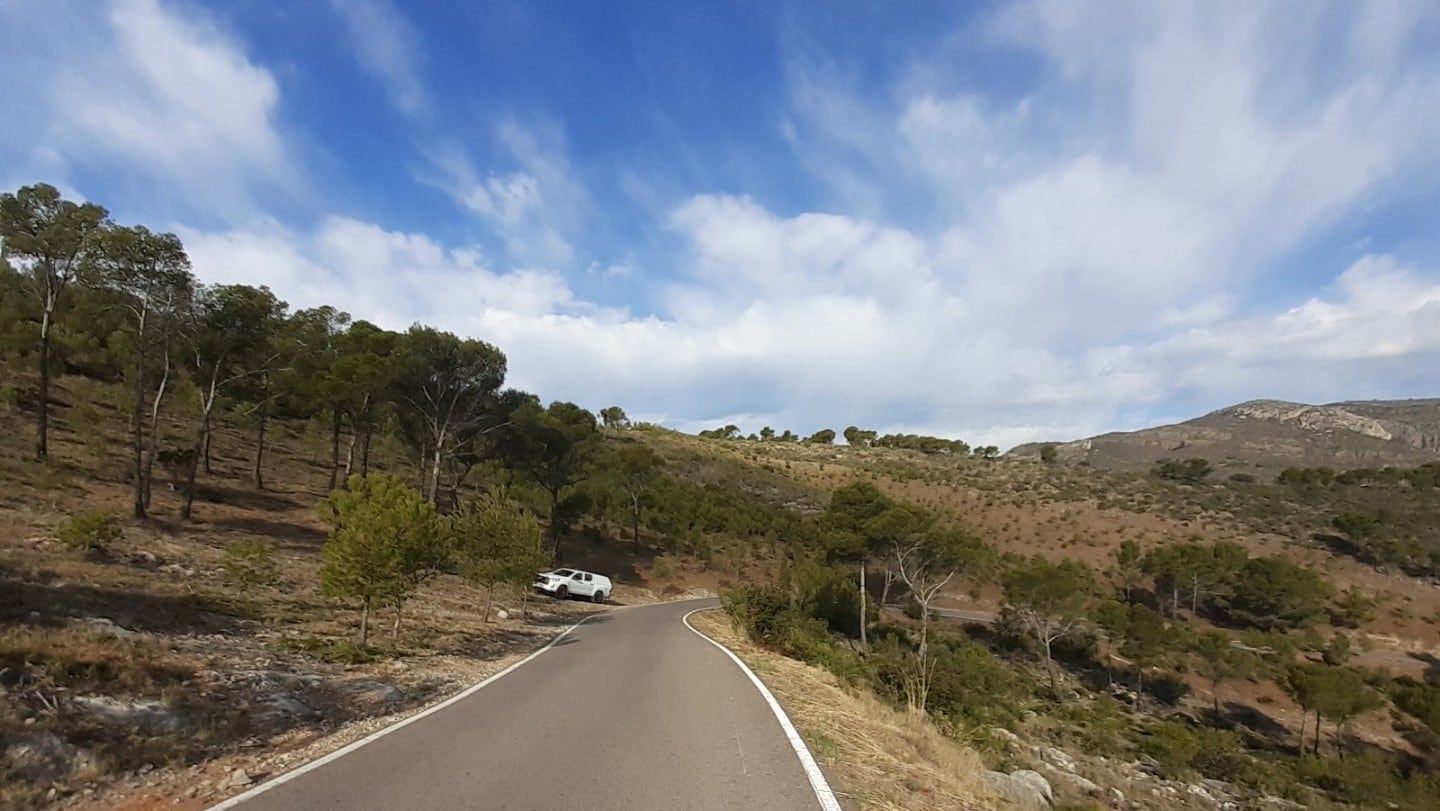 Oropesa del Mar acomete acciones para prevenir posibles incendios forestales.