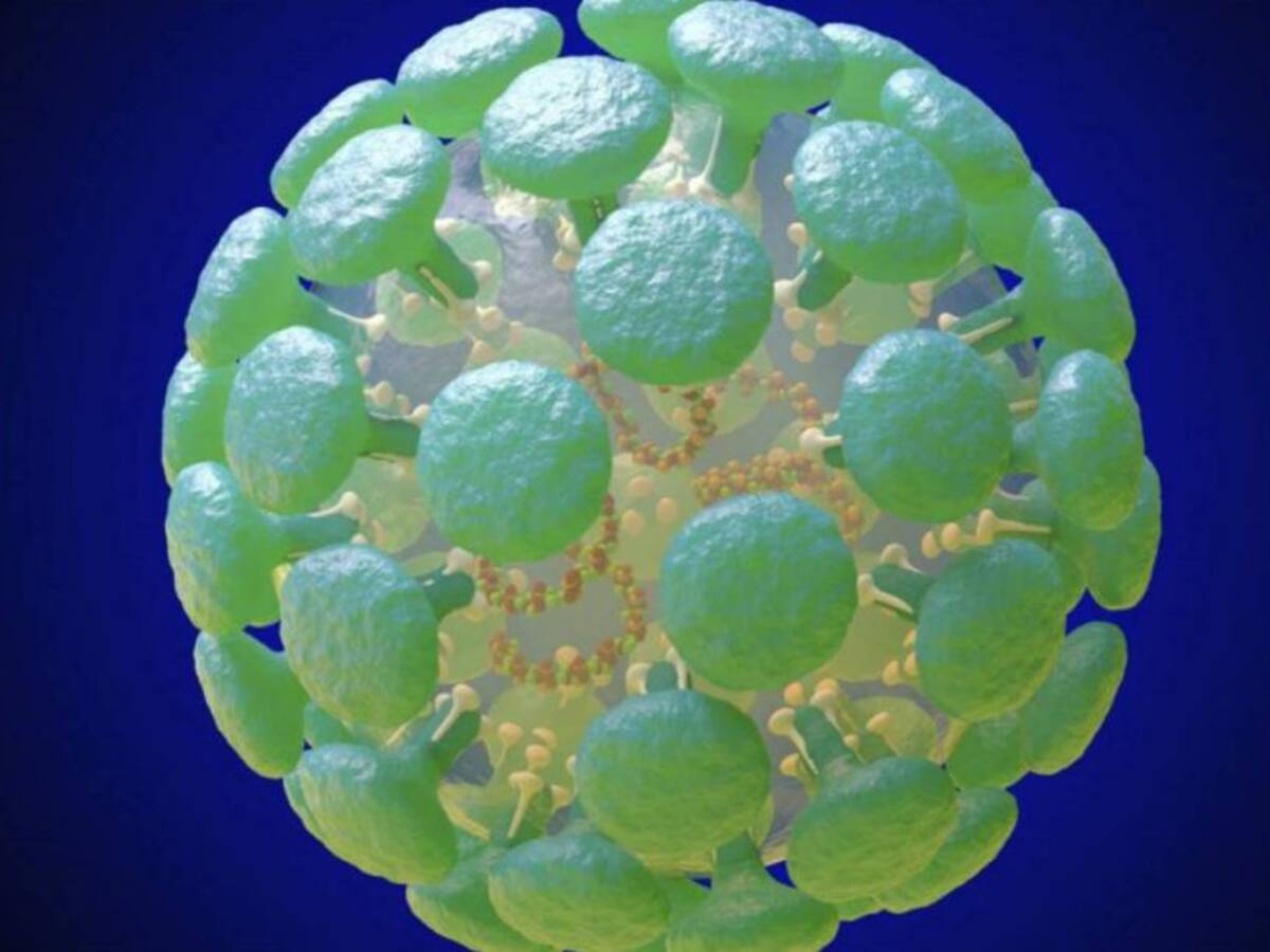 Balears registra el máximo de positivos y altas en un día por coronavirus