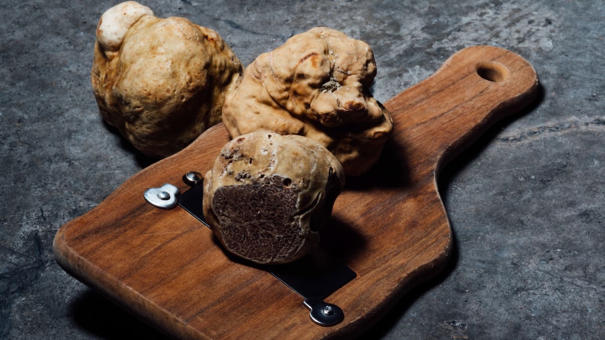 Hoy por Hoy Zaragoza y la gastronomía (29/11/24)