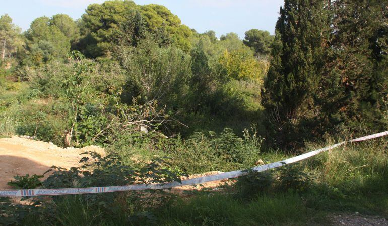 Camí de la Budellera on es va trobar el cos de la víctima