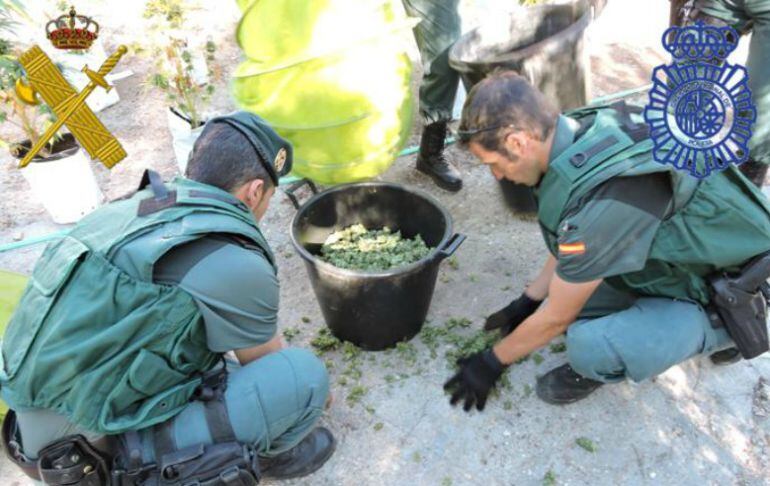 Operación contra el narcotráfico desarrollado en Medina del Campo