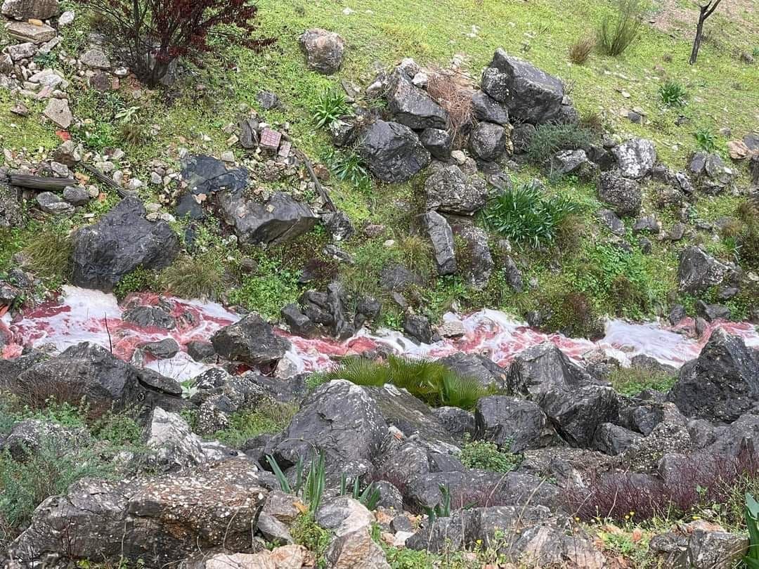 Imagen del río Guadiaro tras el vertido de sangre denunciado