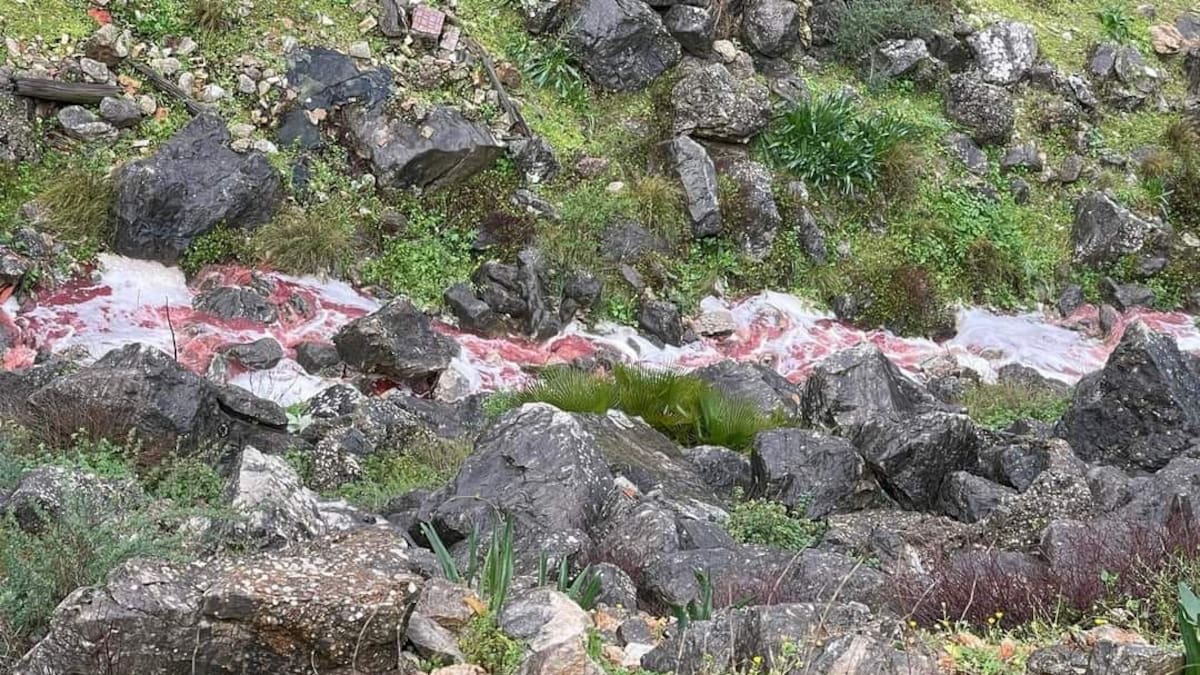 "El vertido es gravísimo, no se le puede quitar importancia"