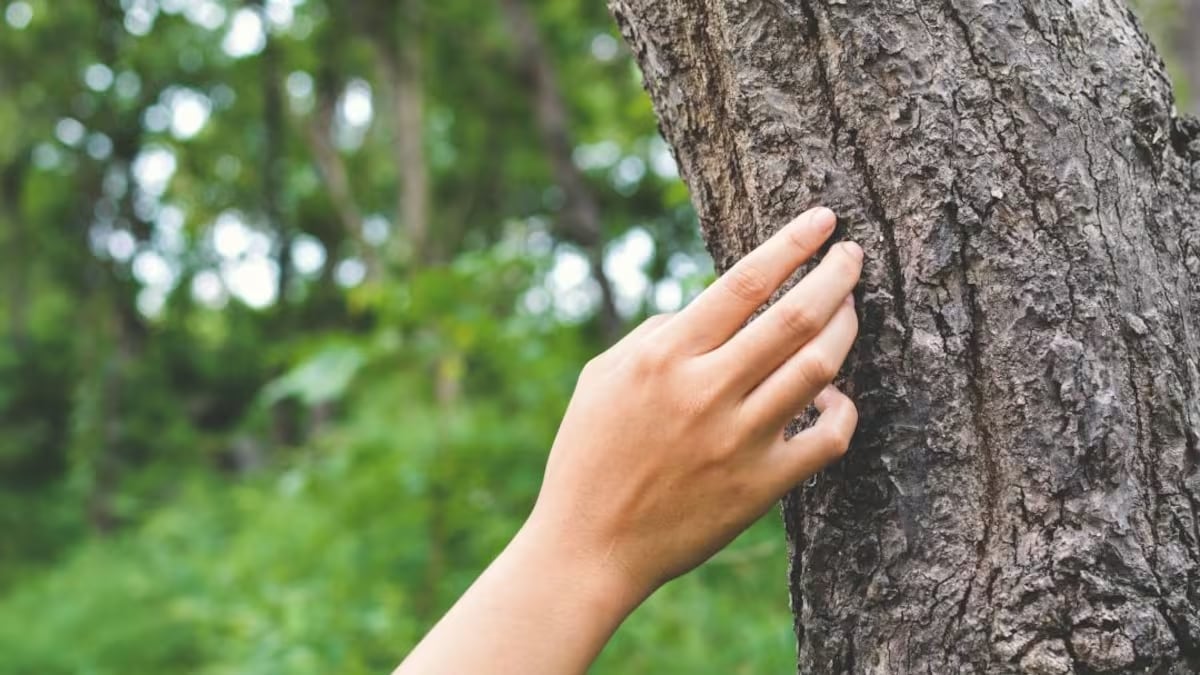 La plantación de árboles del "Zuhaitz Eguna" de Eibar se llevará a cabo el 15 de marzo
