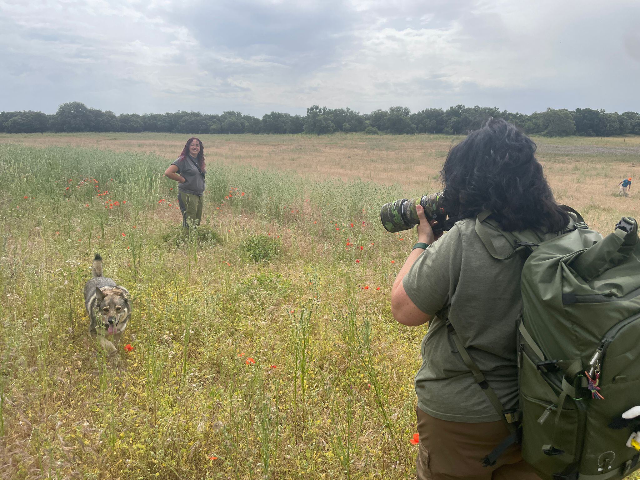 Taller de fotografía con lobos