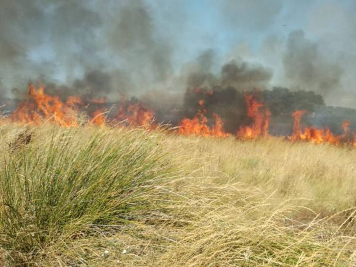 Fuego totalmente controlado