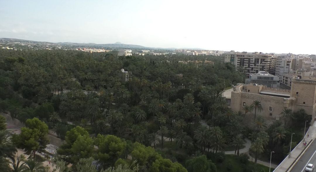 Ciudad de Elche