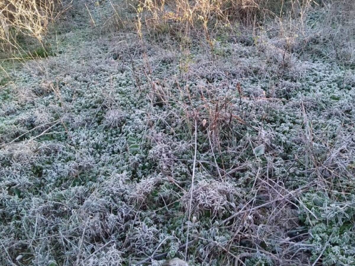 Febrero ha sido un mes frío y muy seco en las Pitiusas