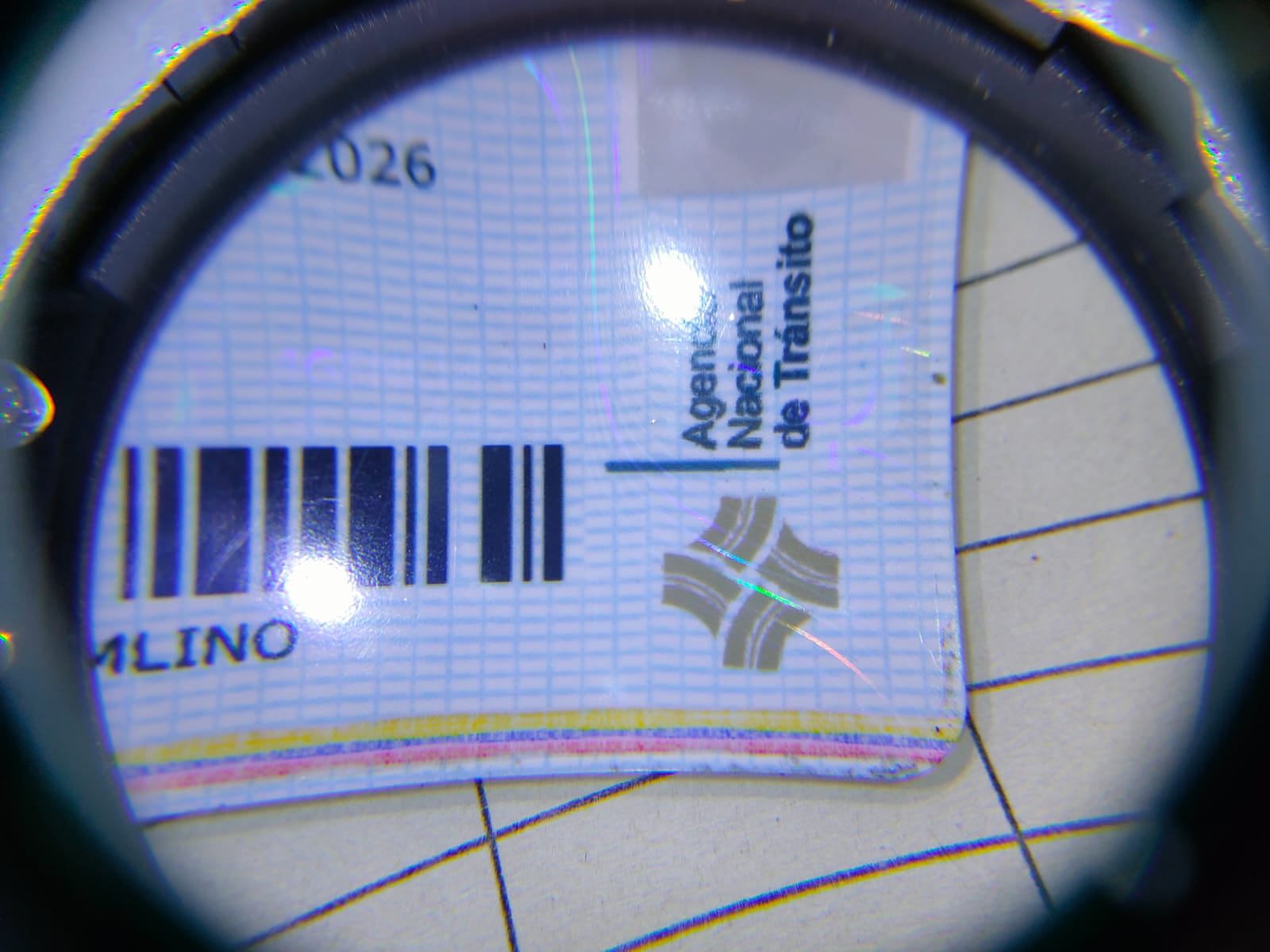 Imagen del carnet falso