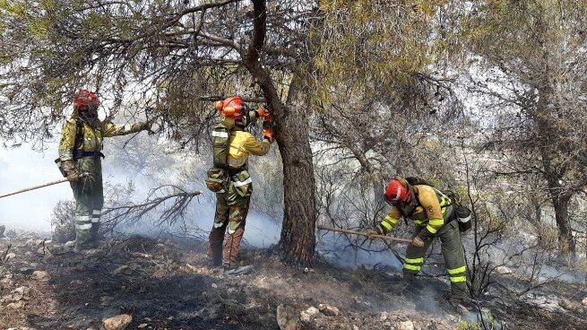 Incendio forestal en La Zarza, Jumilla