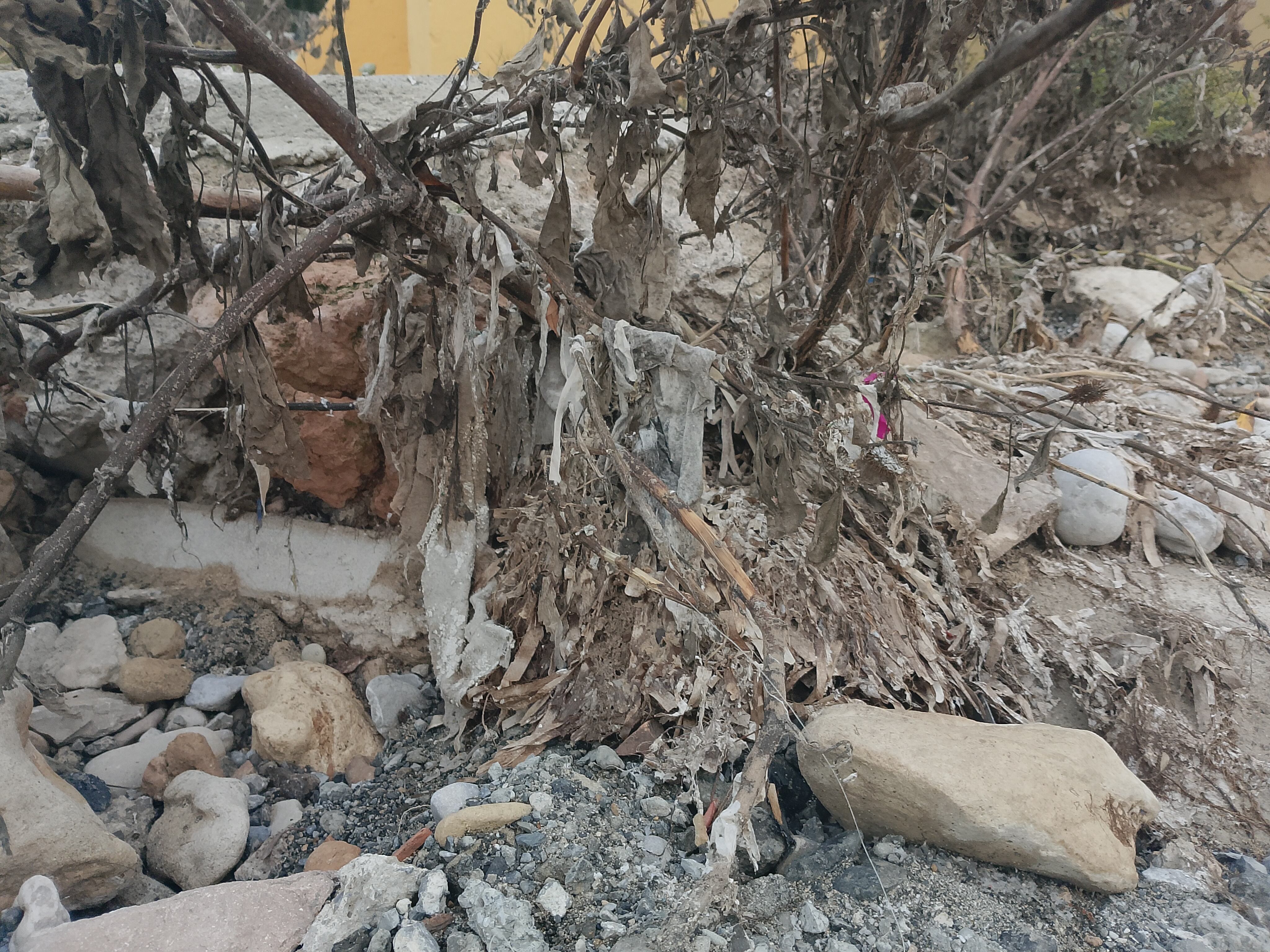 Toallitas en la playa de Port des Torrent (Salvem sa Badia)