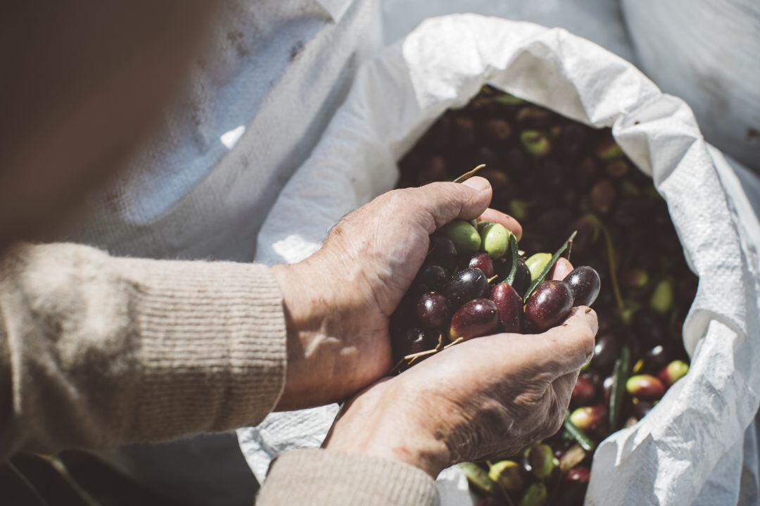 Los agricultores y ganaderos jiennenses tendrán que afrontar mayores gastos en impuestos, según el PSOE