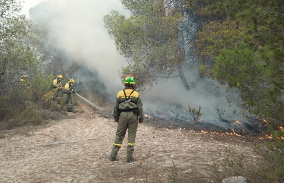 Incendio forestal en Mula 