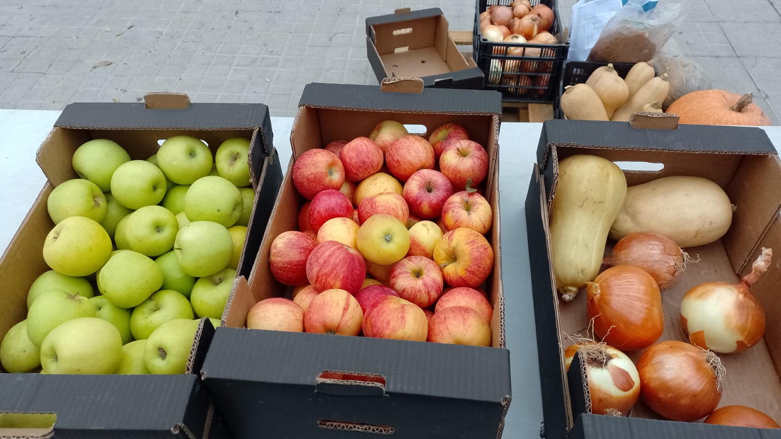 Esta misma acción se llevará a cabo el viernes y el sábado en los mercados que se celebrarán en Zaragoza.