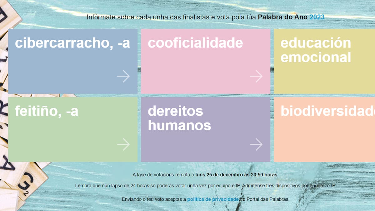 'Cibercarracho', 'feitiño' y 'educación emocional': las favoritas de los lucenses a palabra del año 2023
