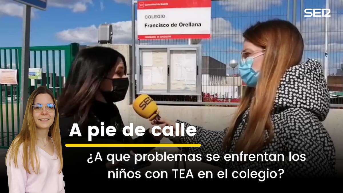 ¿A que problemas se enfrentan los niños con TEA en el colegio?