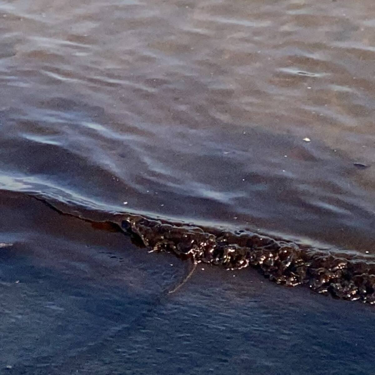 El vertido del OS 35 llega al Rinconcillo