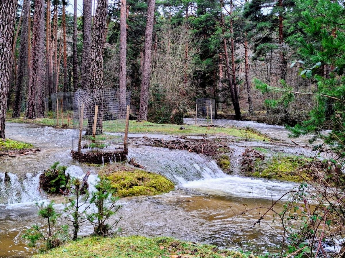Estas son las rutas y áreas recreativas intransitables por inundaciones en la Sierra de Guadarrama