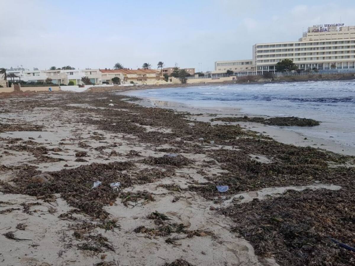 La borrasca Gloria deja un balance de daños en infraestructuras municipales en Cartagena de 620.000 euros