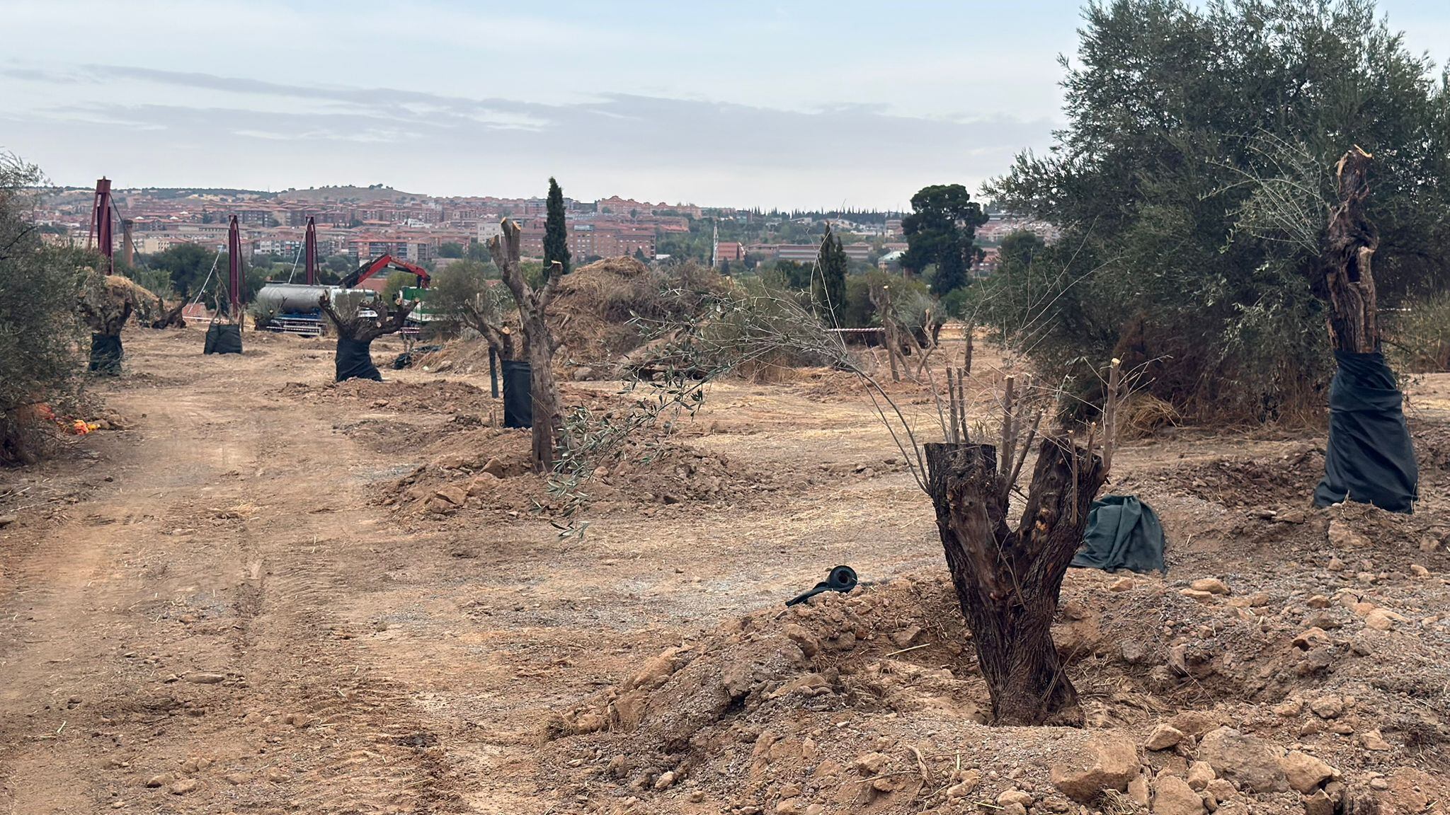 Presentado el proyecto de 'Ciudad del Cine' en el parque de Polvorines de Toledo