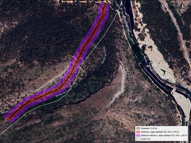 Actuación en La Cova Negra
