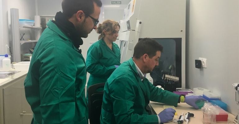 Tres personas realizan un test para comprobar la existencia de la bacteria xylella fastidiosa.