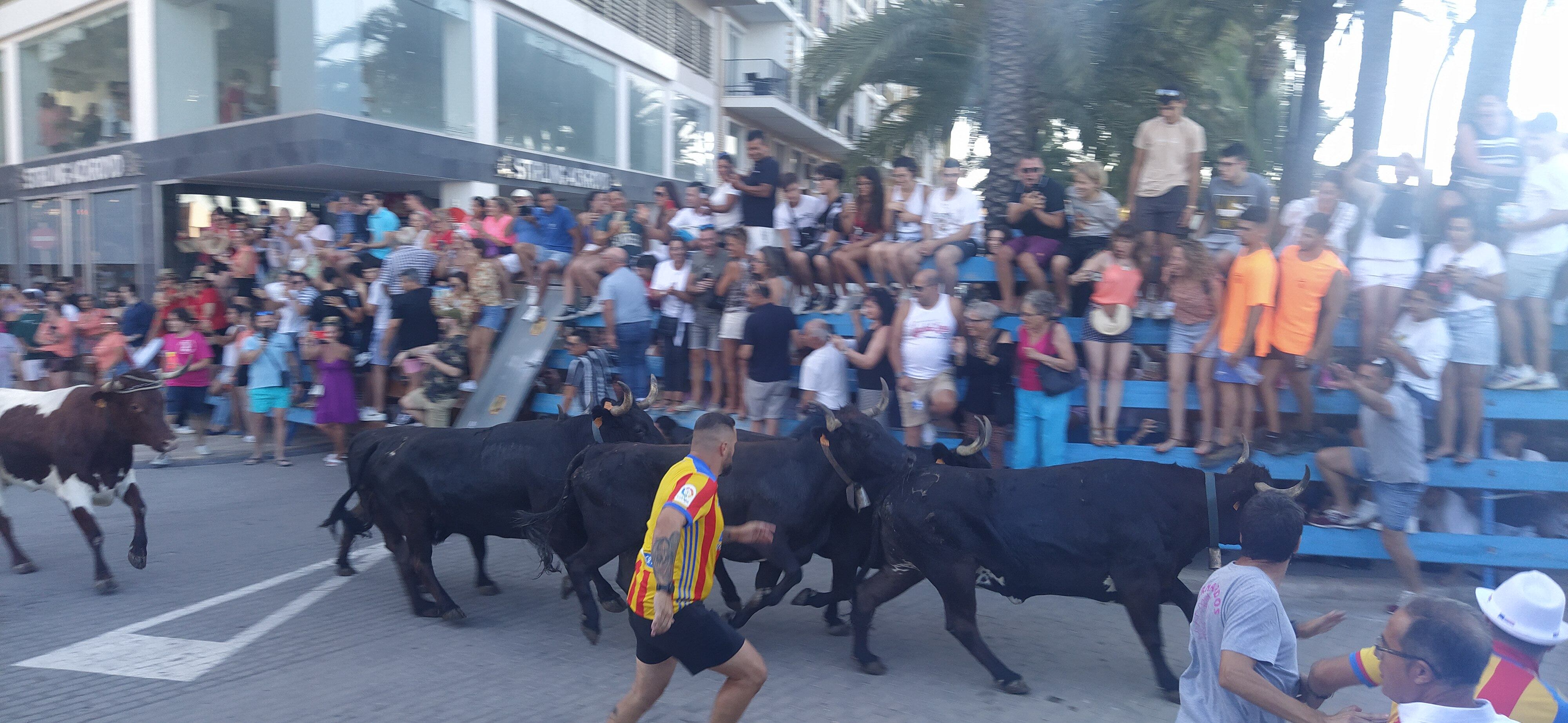 Primera entrada de toros.