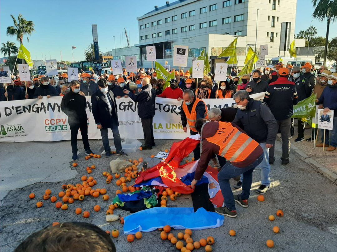 Manifestación de agricultores en Favara  