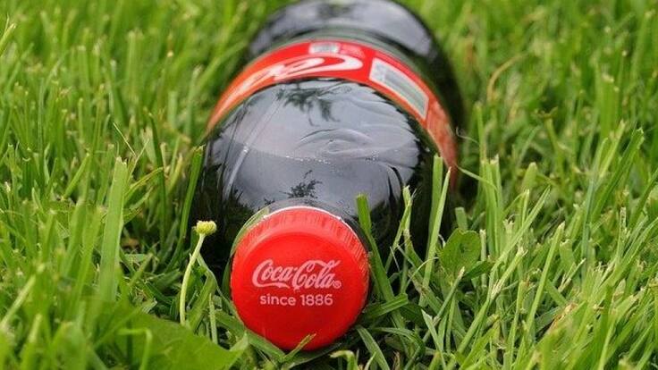 Coca-Cola impulsa la sostenibilidad en Gipuzkoa con proyectos en hostelería y limpieza de ríos