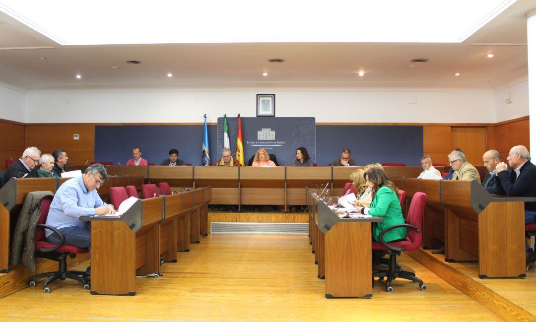 El Consejo Municipal Agrario de Motril se reúne en el Salón de plenos del ayuntamiento motrileño
