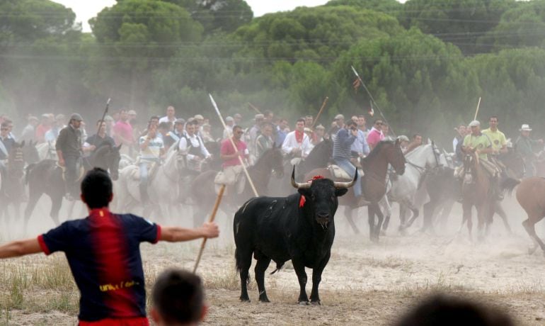 Imagen de archivo del Toro de la Vega celebrado en 2014